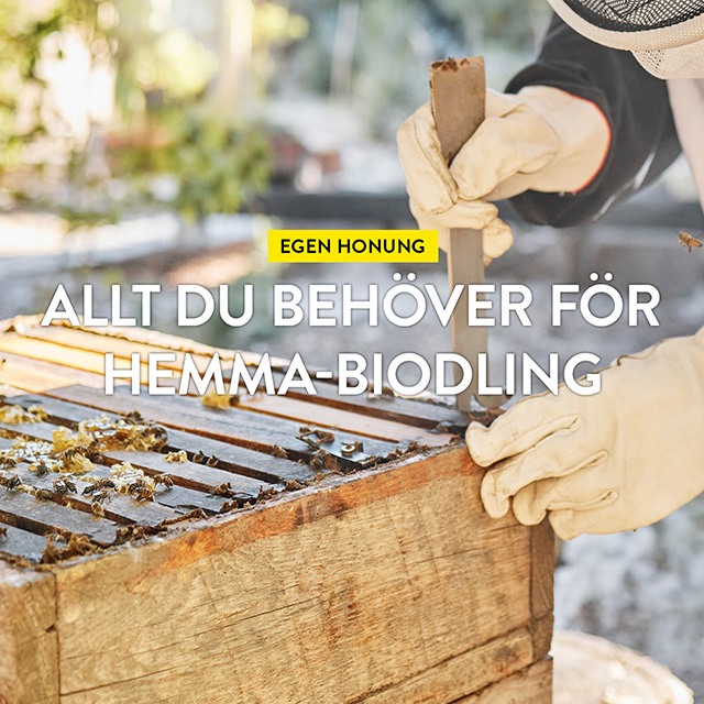 Egen honung - allt du behöver för hemma-biodling